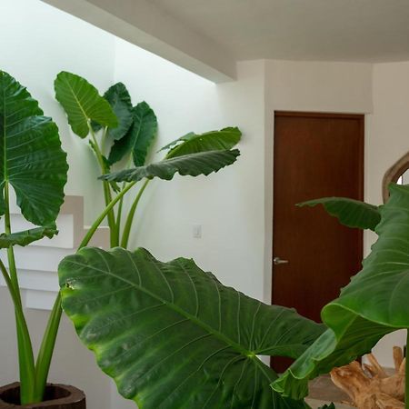 Recamara 5 Tulum Appartement Cancún Buitenkant foto