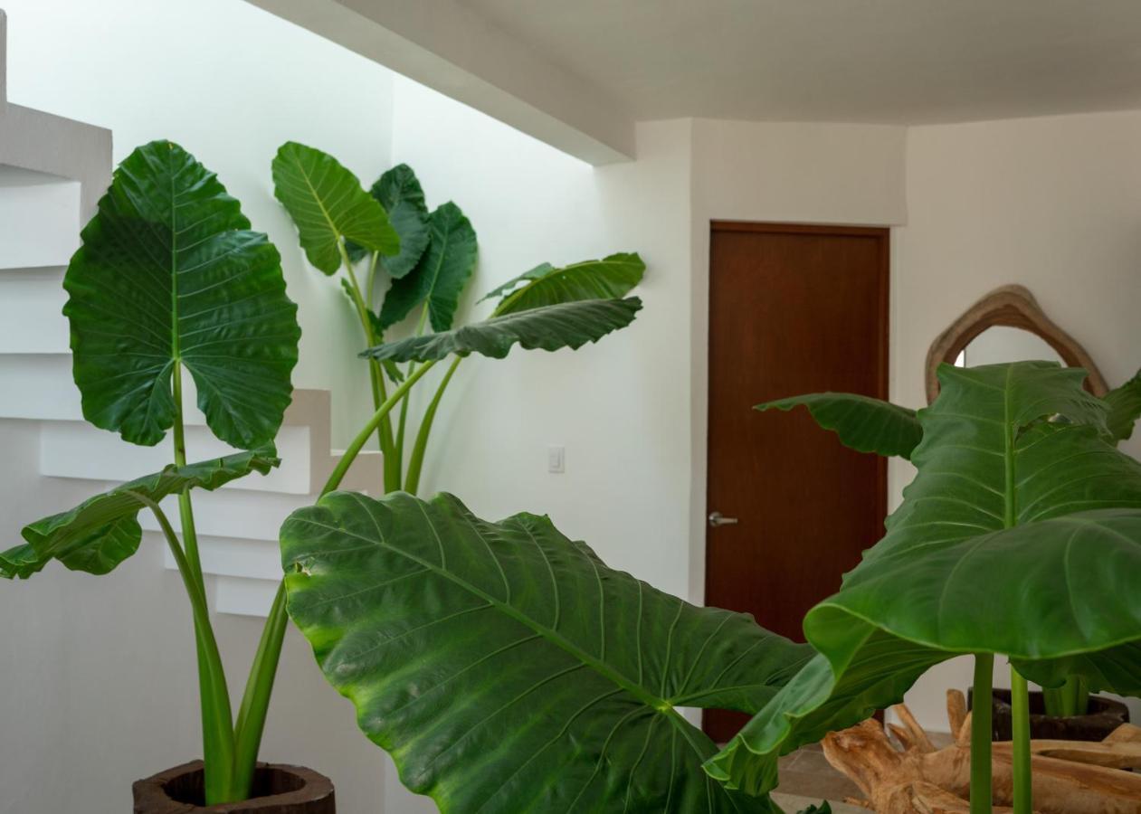 Recamara 5 Tulum Appartement Cancún Buitenkant foto